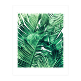 Tropical State of Mind | Watercolor Palm Banana Leaves Painting | Botanical Jungle Bohemian Plants (Print Only) thumbnail