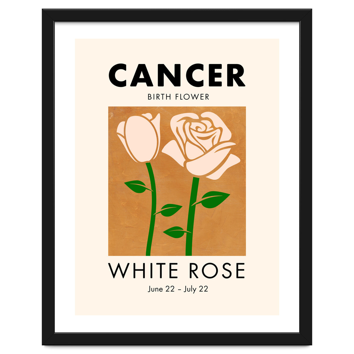 Cancer Birth Flower White Rose
