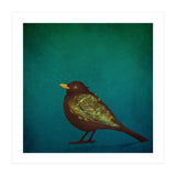 Camouflage: The Blackbird (Print Only) thumbnail
