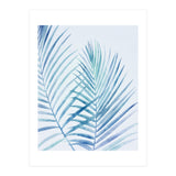 Coastal Palm Fronds (Print Only) thumbnail