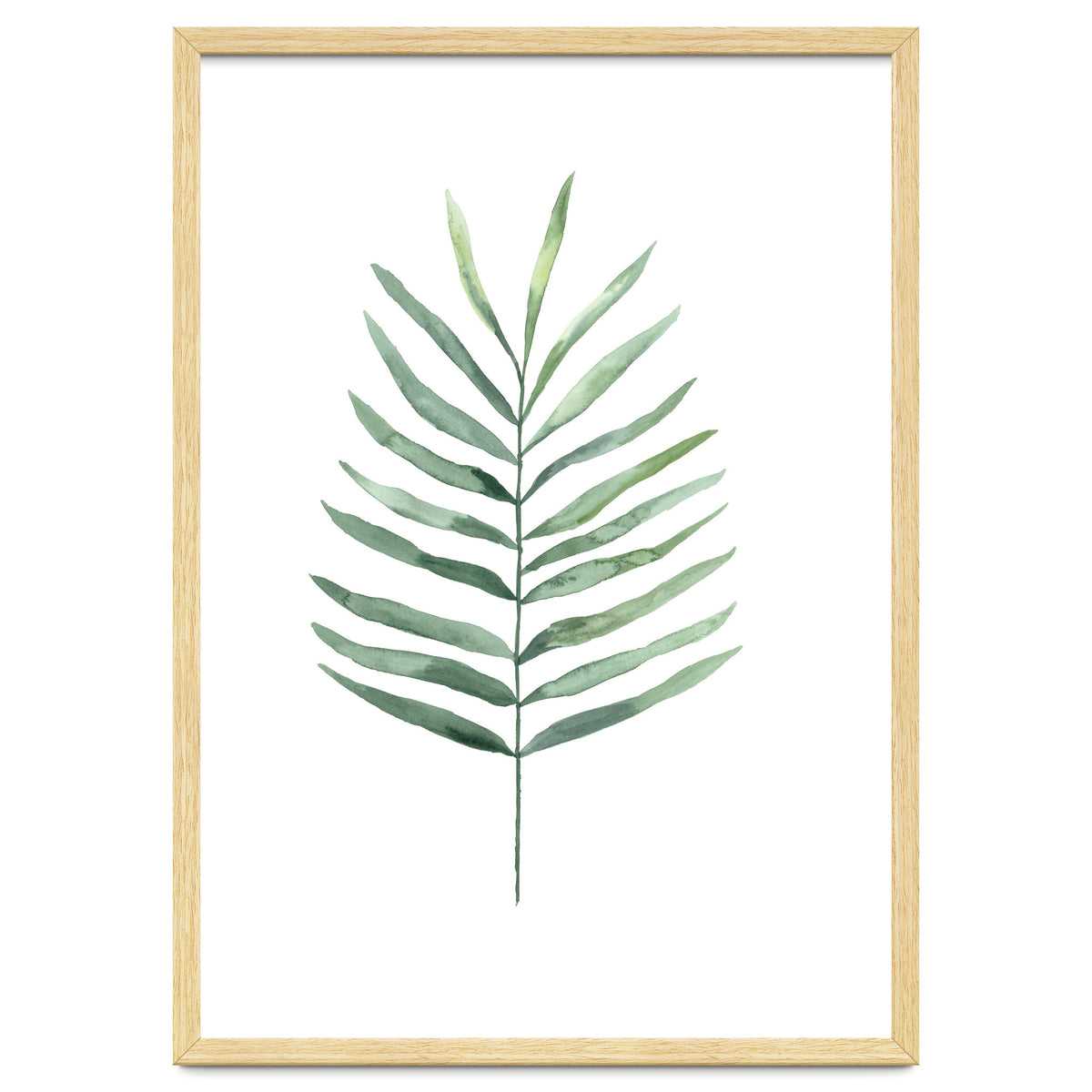 Botanical Illustration Fern