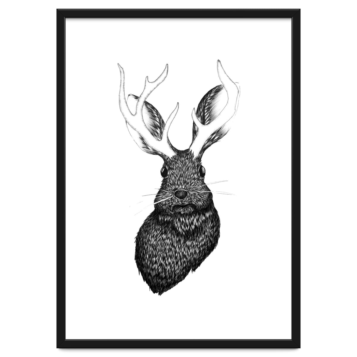 Jackalope