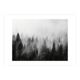 Black and White Forest (Print Only) thumbnail