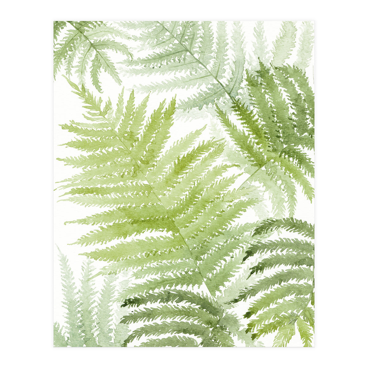 Samambaia  (Print Only)