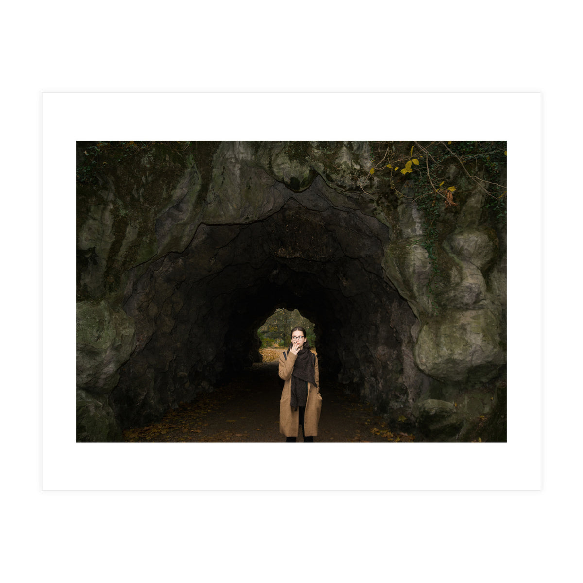 Transition from Summer to Winter (Print Only)