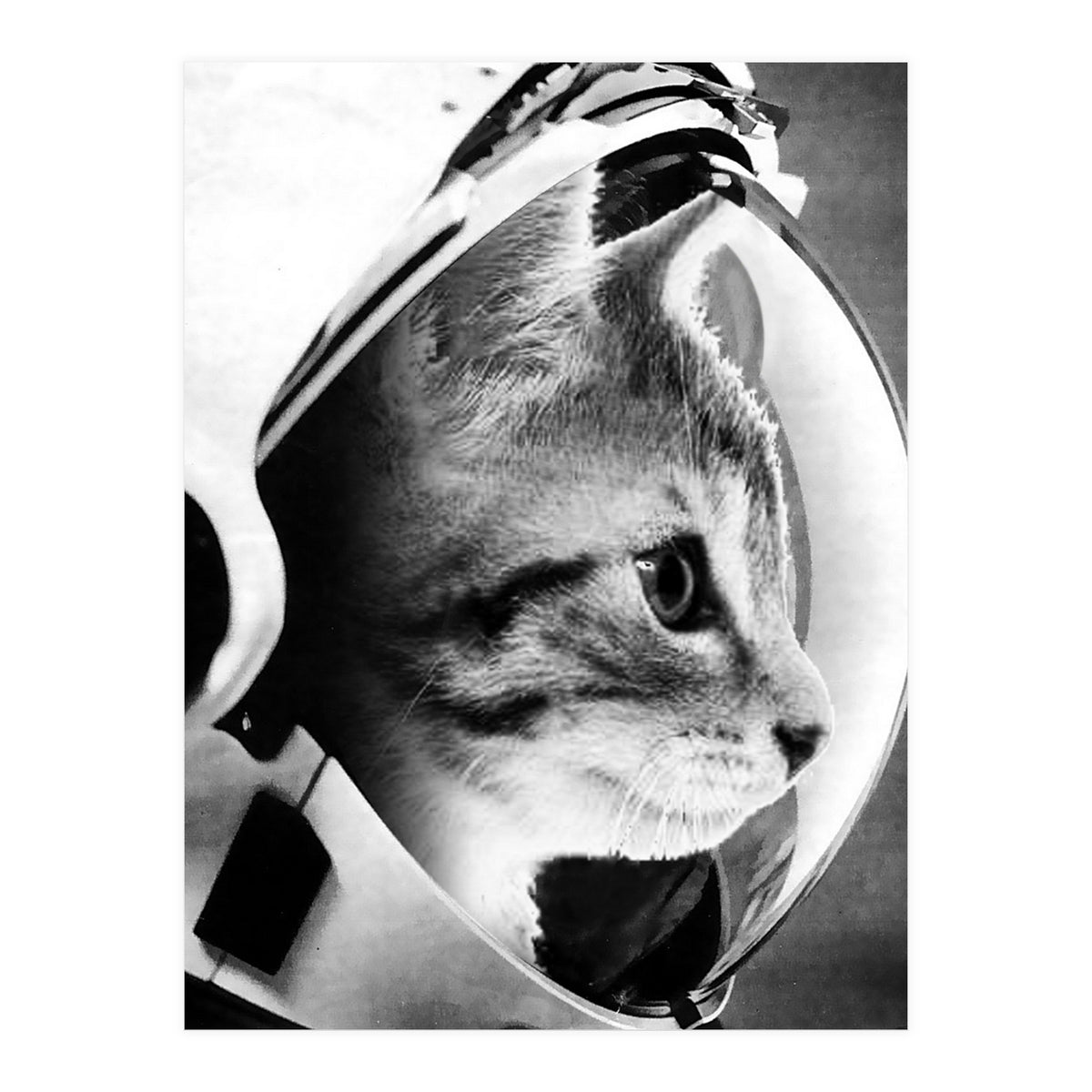 Astrocat (Print Only)
