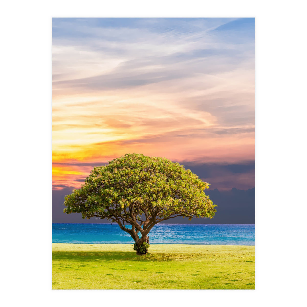 TREE with Great SKY (Print Only)