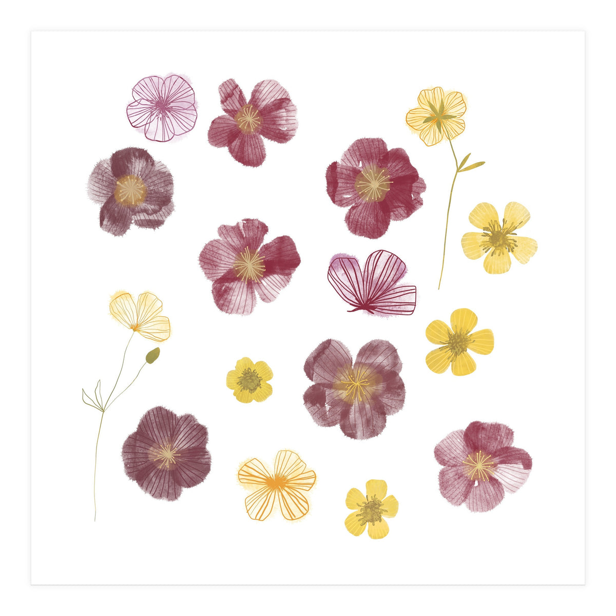 Pressed Flowers (Print Only)