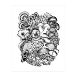 Medley Of Mushrooms (Print Only) thumbnail