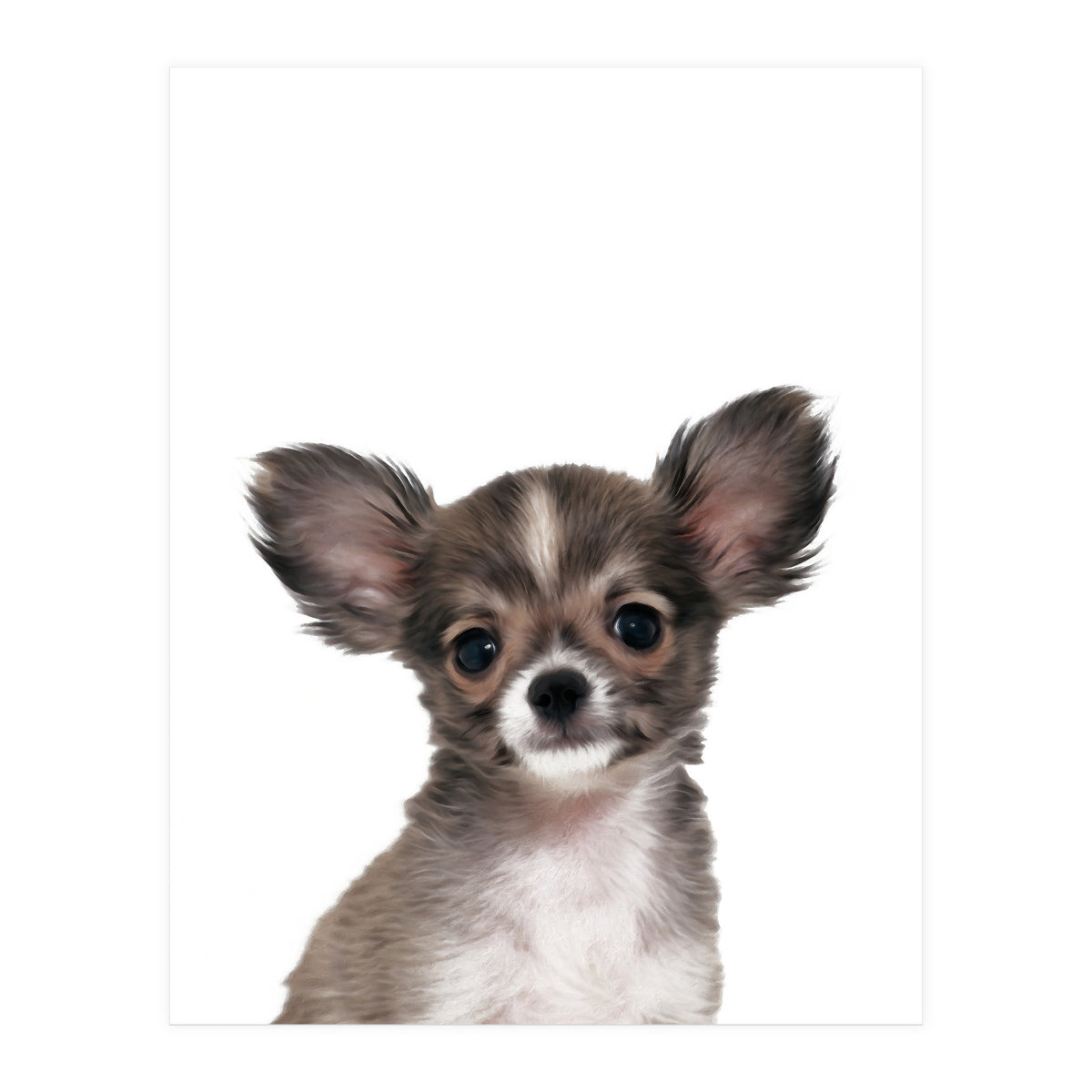 Chihuahua (Print Only)