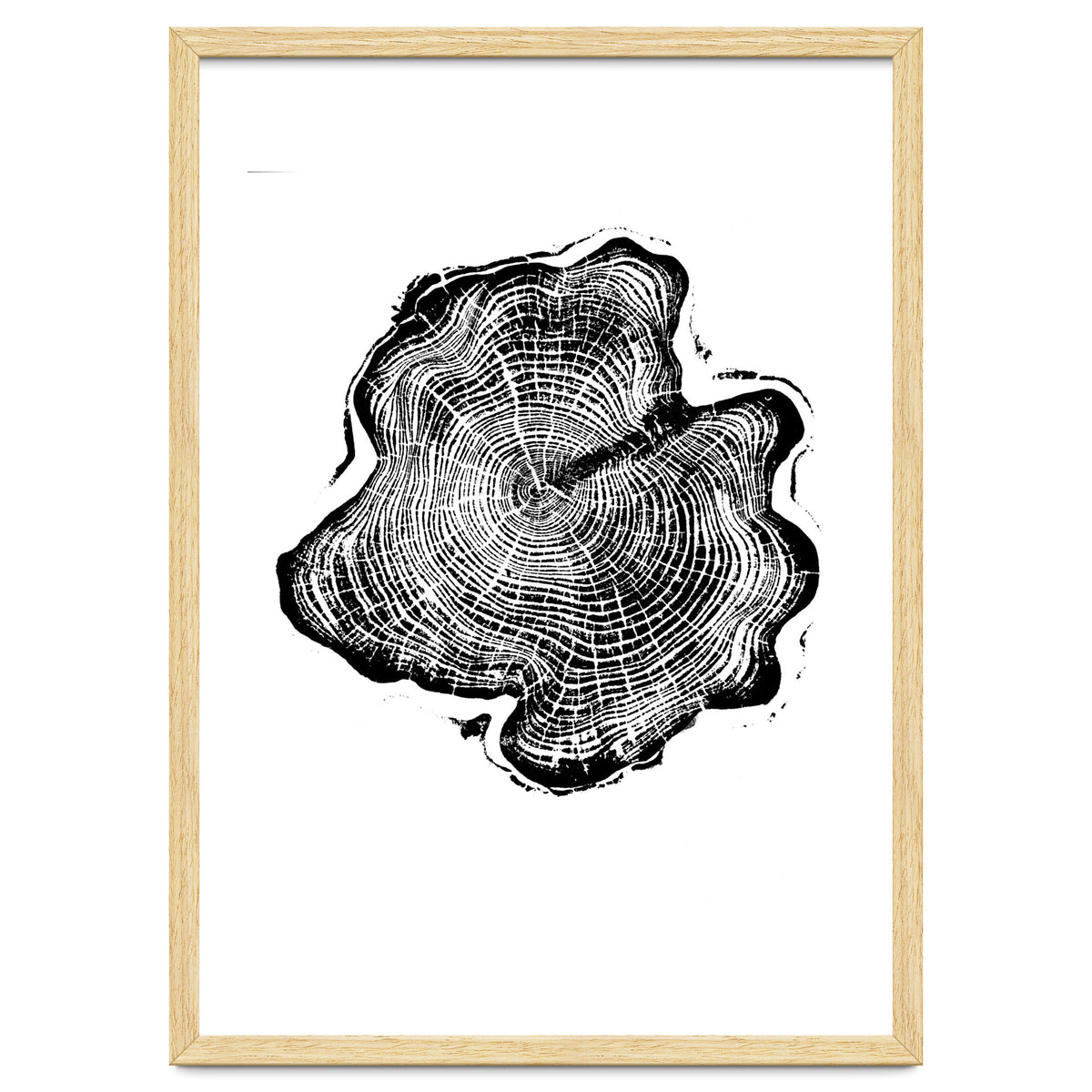 Alaskan Cypress, Tree Ring Art Print, Woodblock