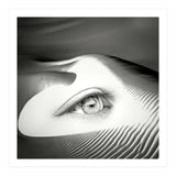 Untrue (Print Only) thumbnail