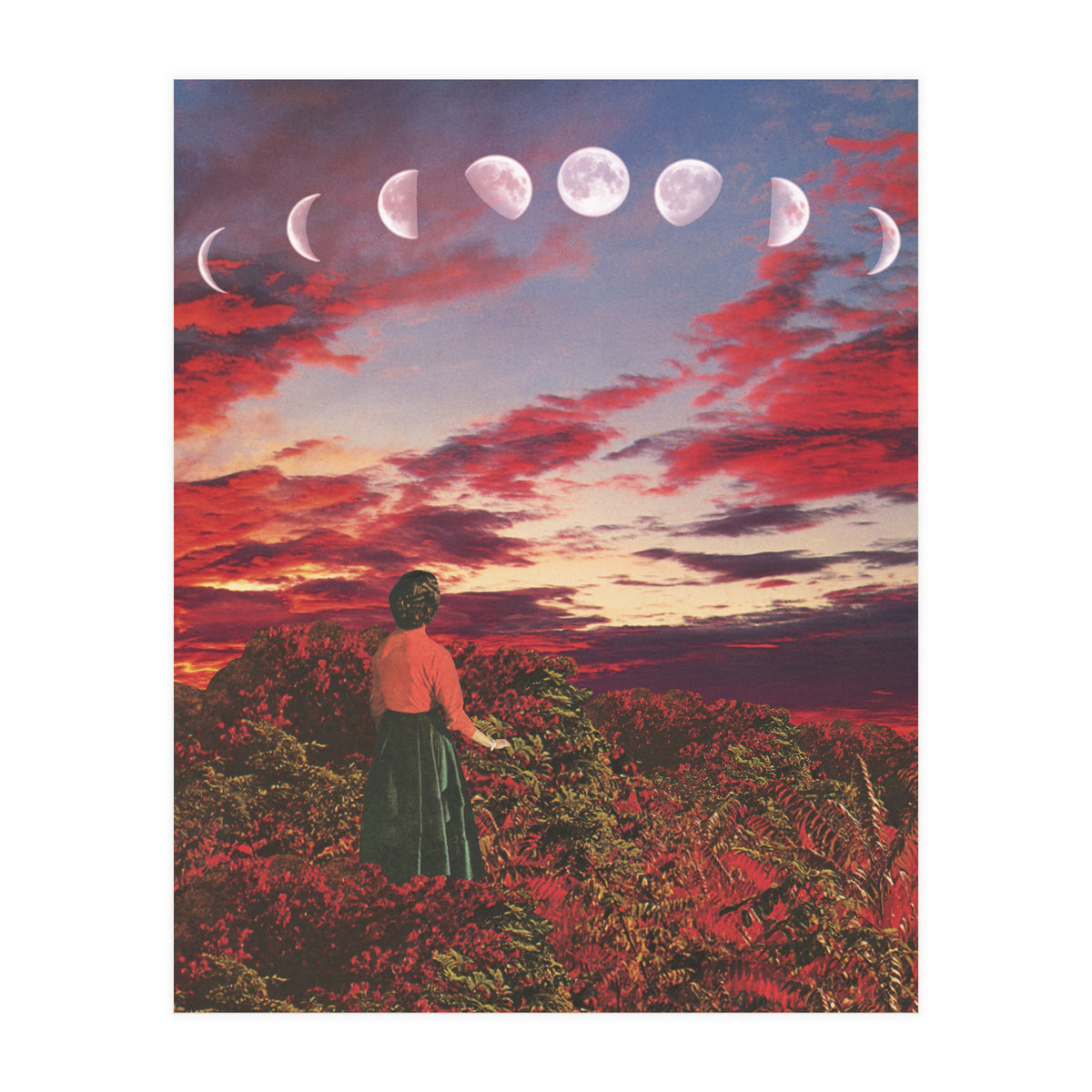 Crimson Paradise (Print Only)