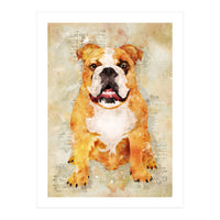 Boxer Dog (Print Only)