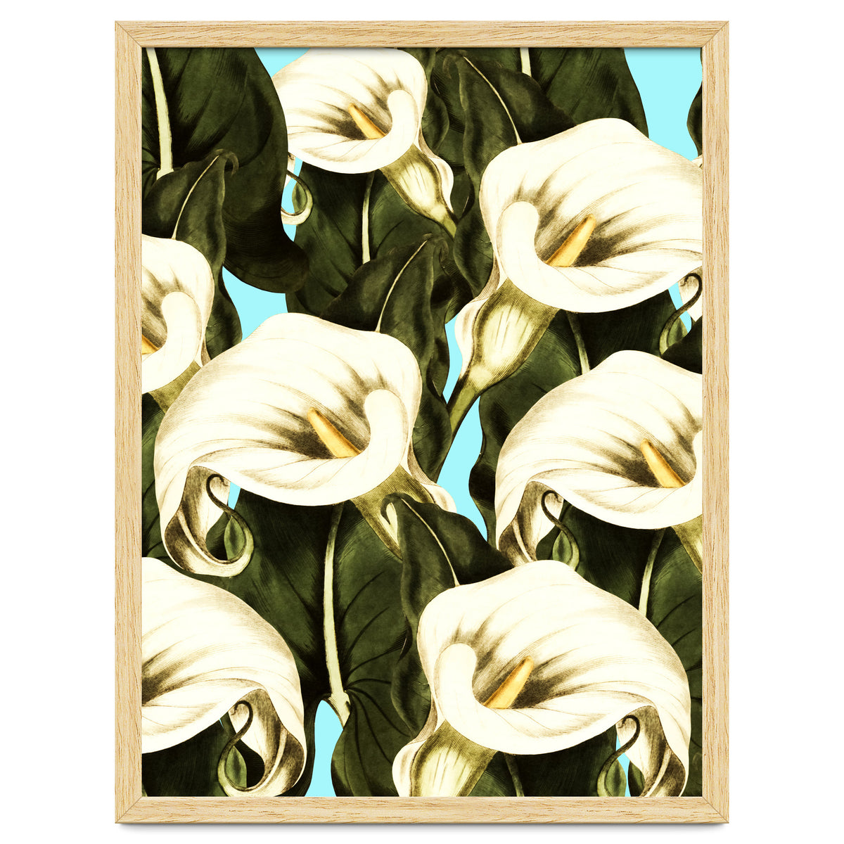 Pattern floral Ethiopian-Calla