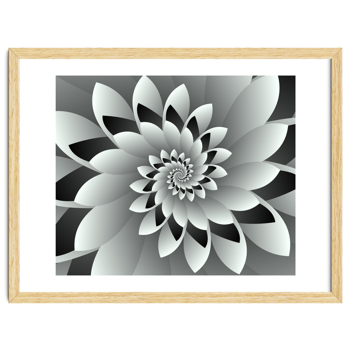 Black & White Floral