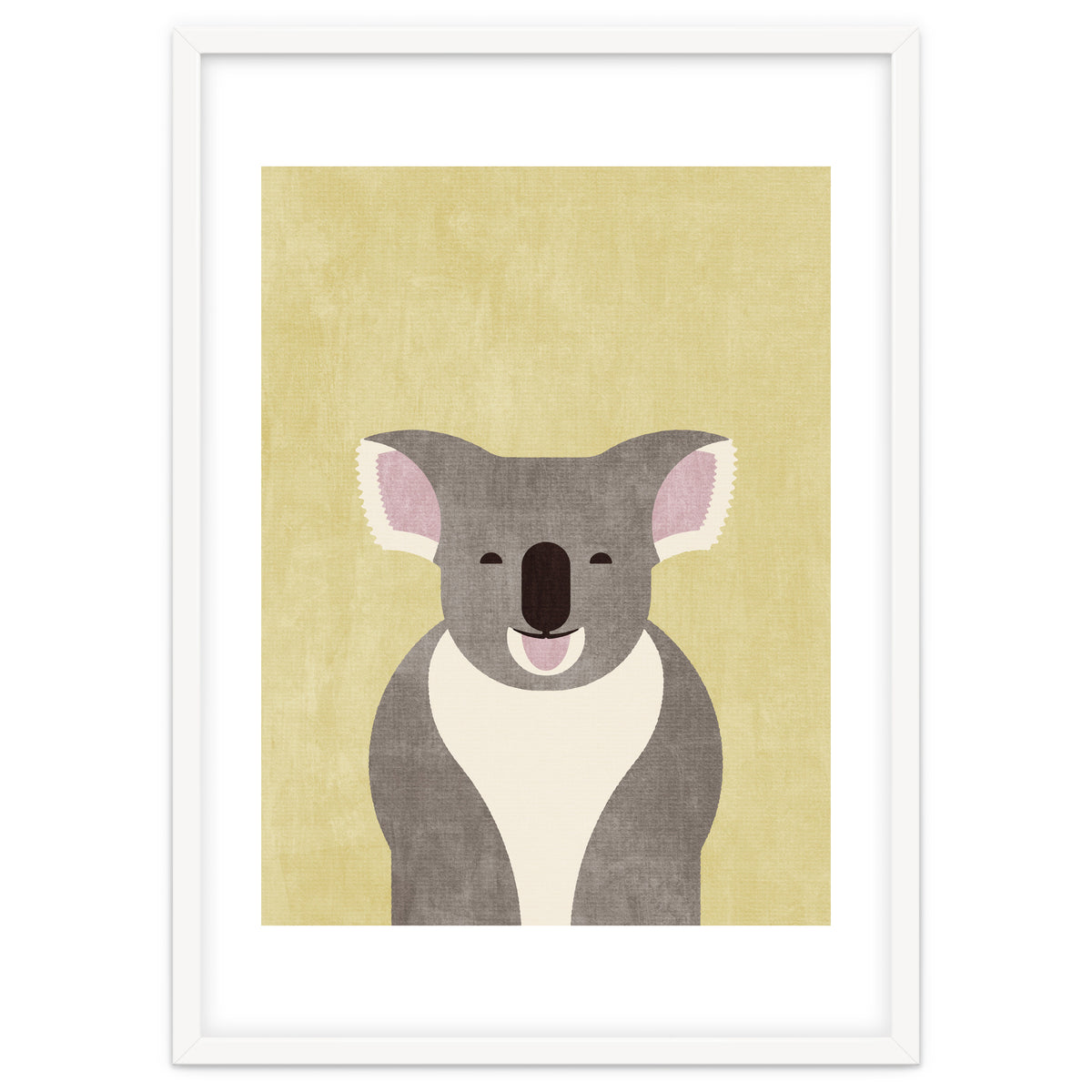 FAUNA / Koala