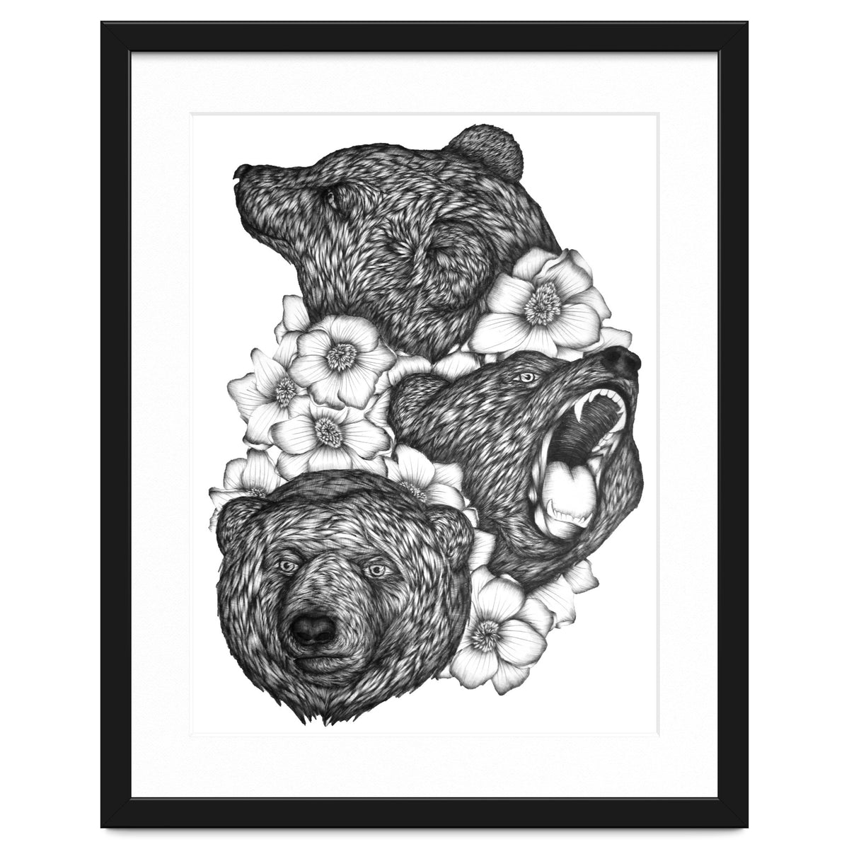Bears In Bears