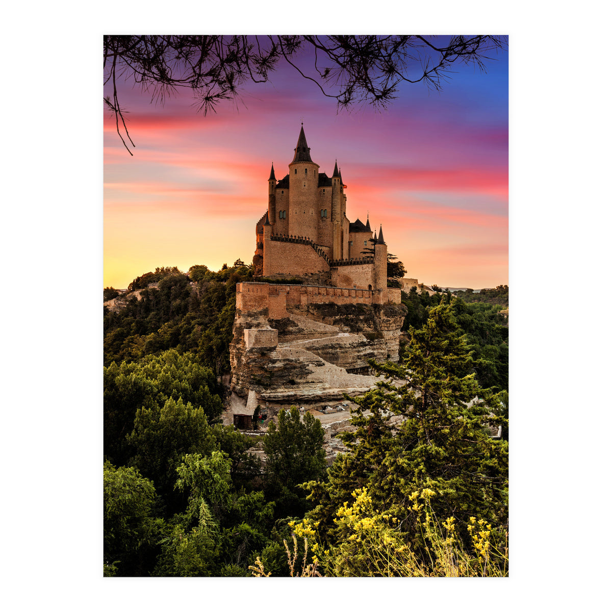 Daydream (Print Only)