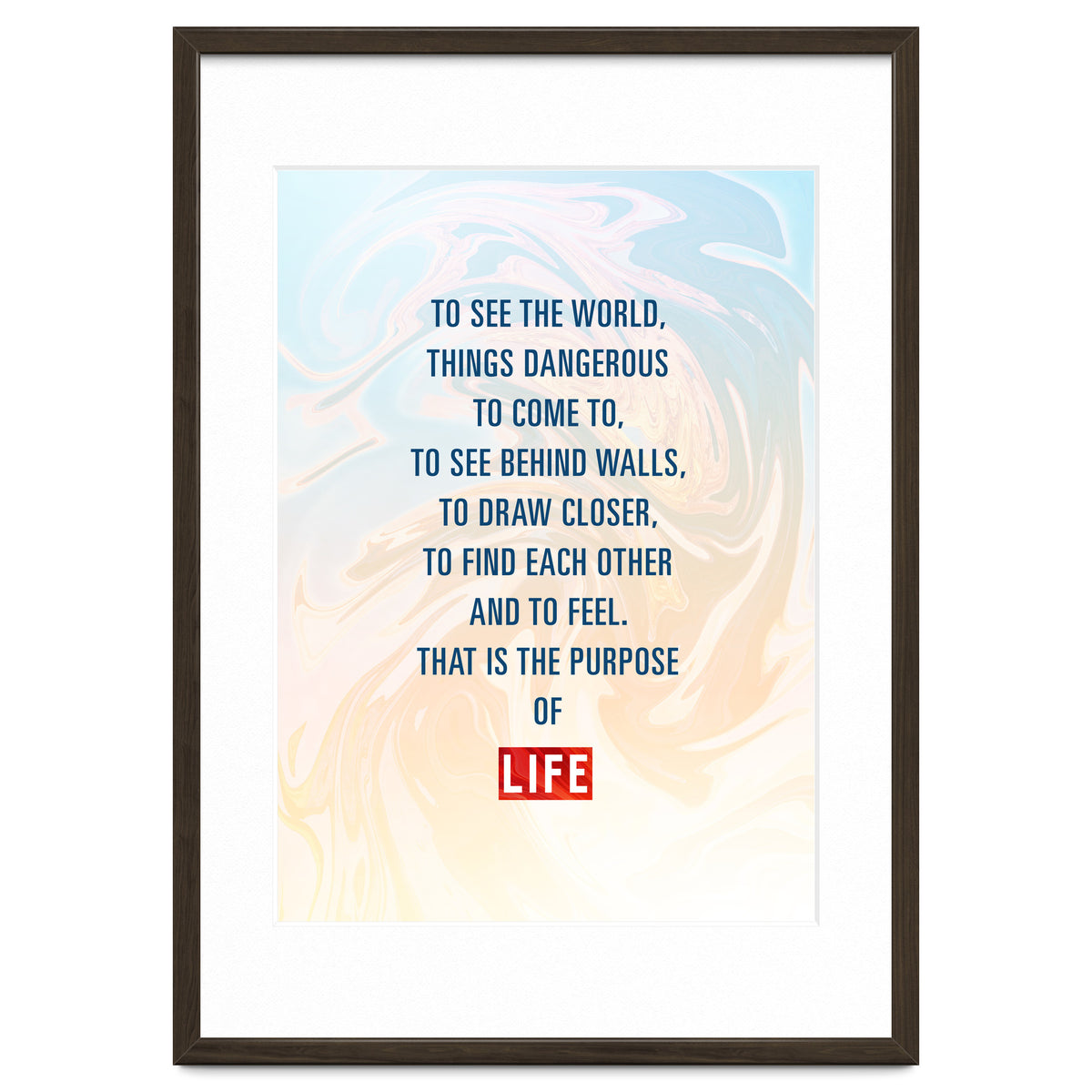 Secret Life of Walter Mitty