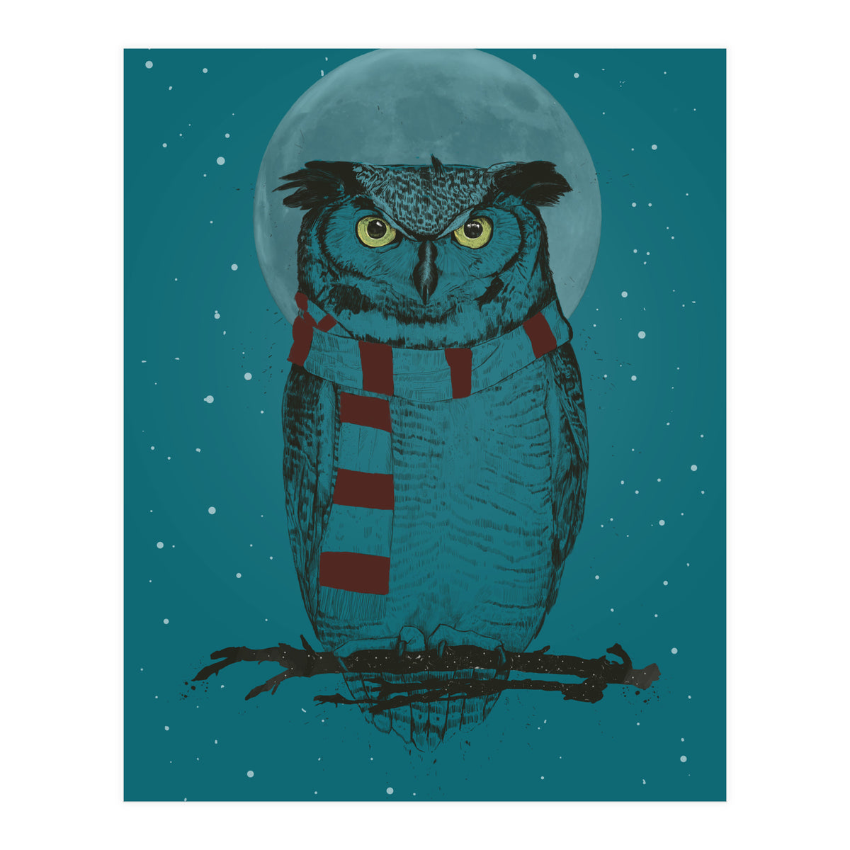 Winter Owl II (Print Only)