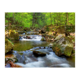 Spring At Harz Moutain (Print Only) thumbnail