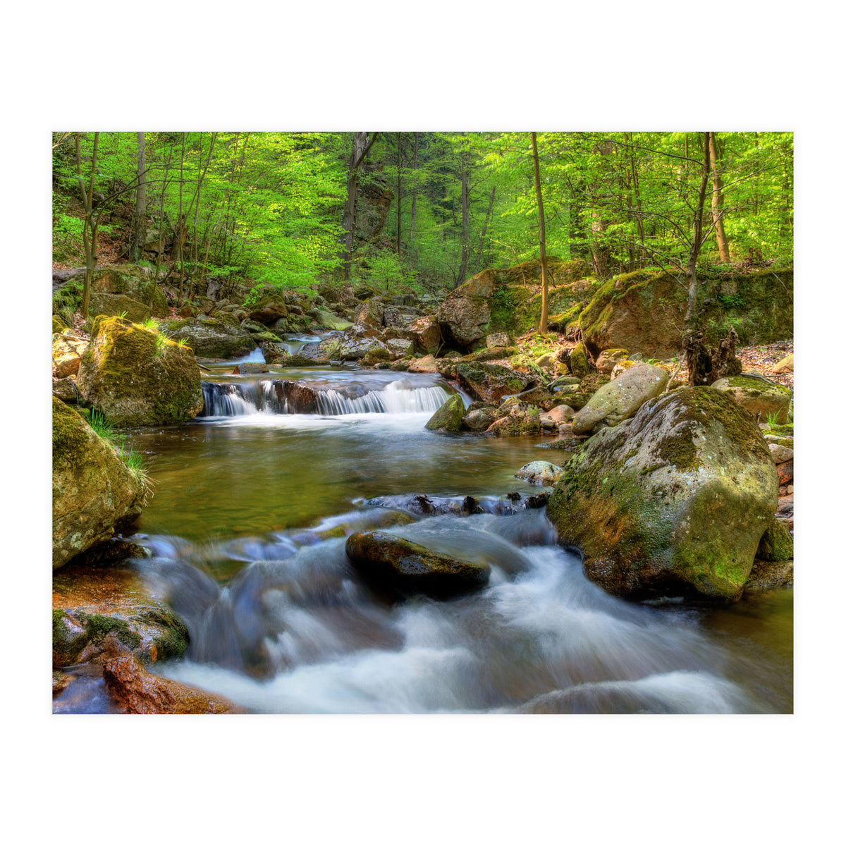 Spring At Harz Moutain (Print Only)