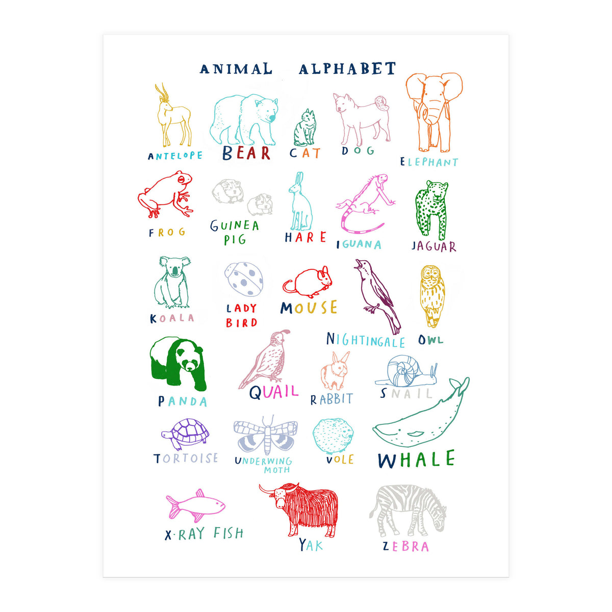 ABC Animals (Print Only)