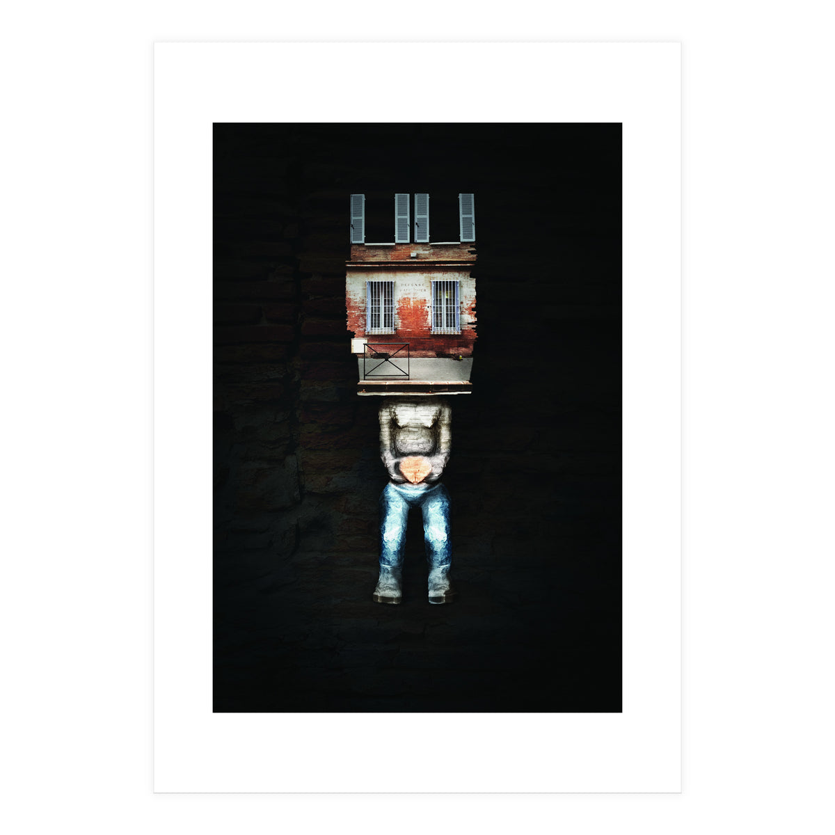 VooDooTooL - Anedo (Print Only)