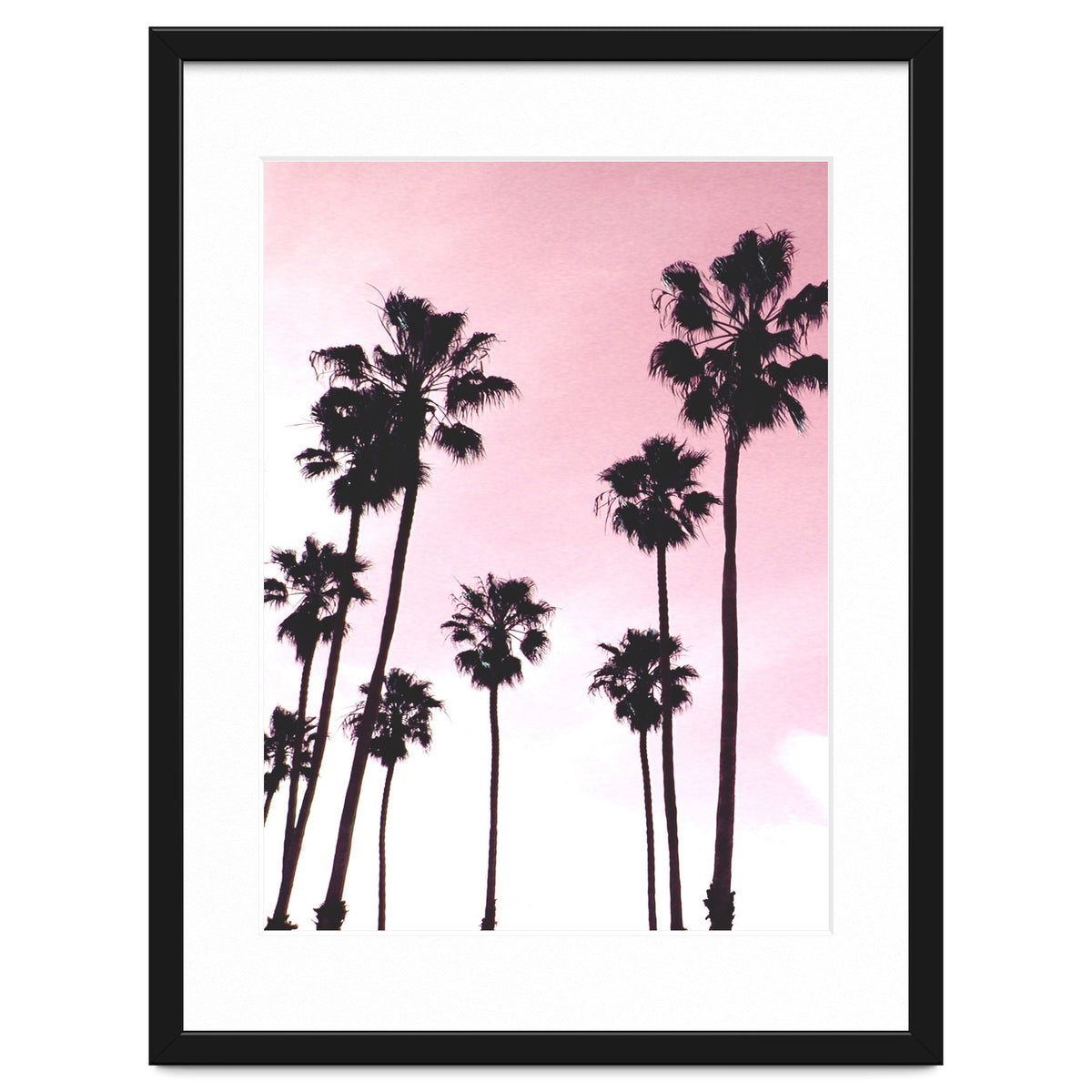 Palms & Sunset