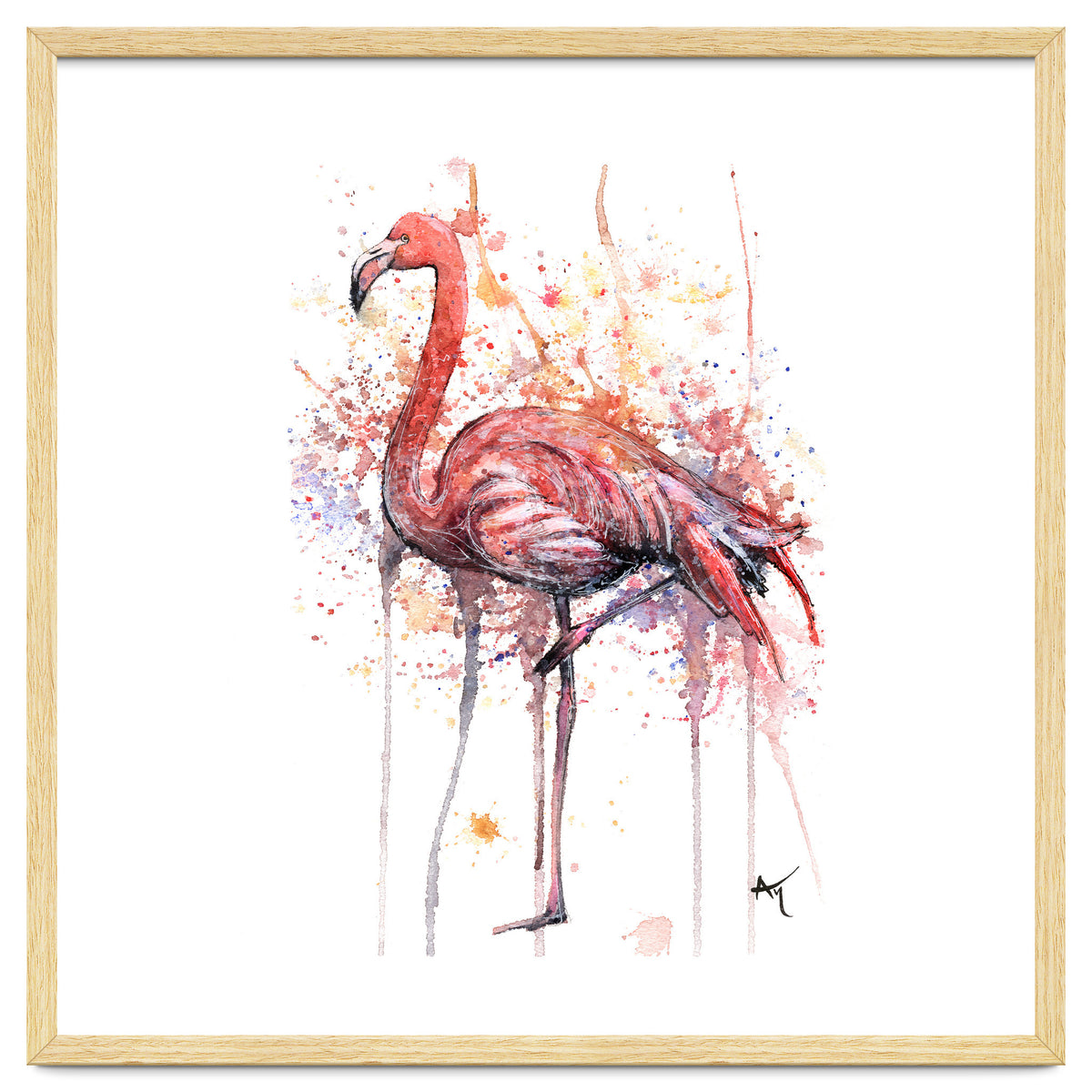 Flamingo - Wildlife Collection