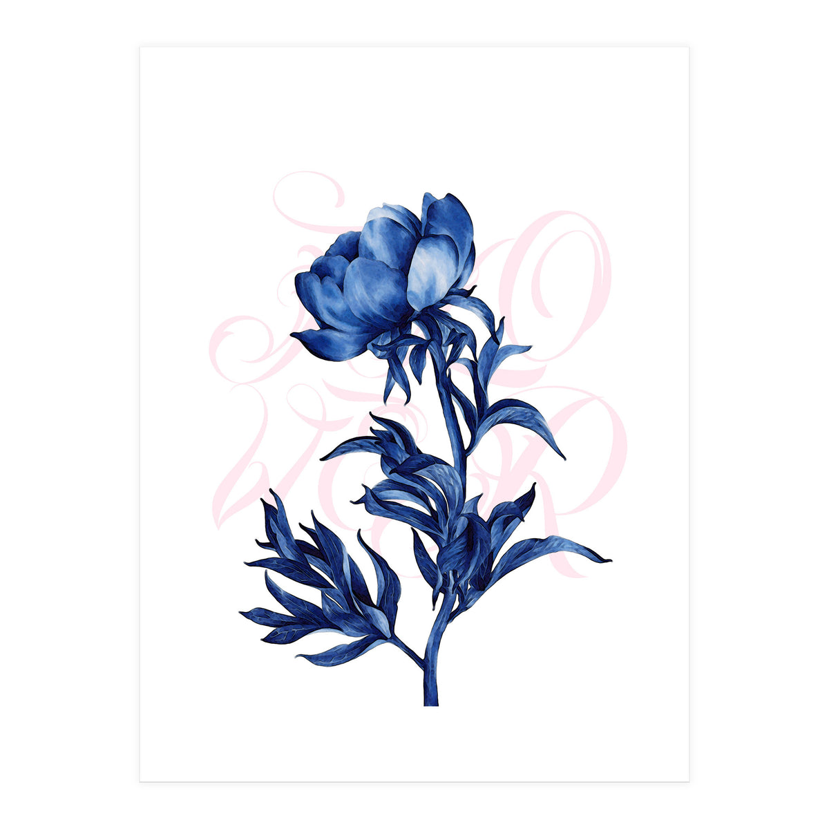 rosa blu (Print Only)