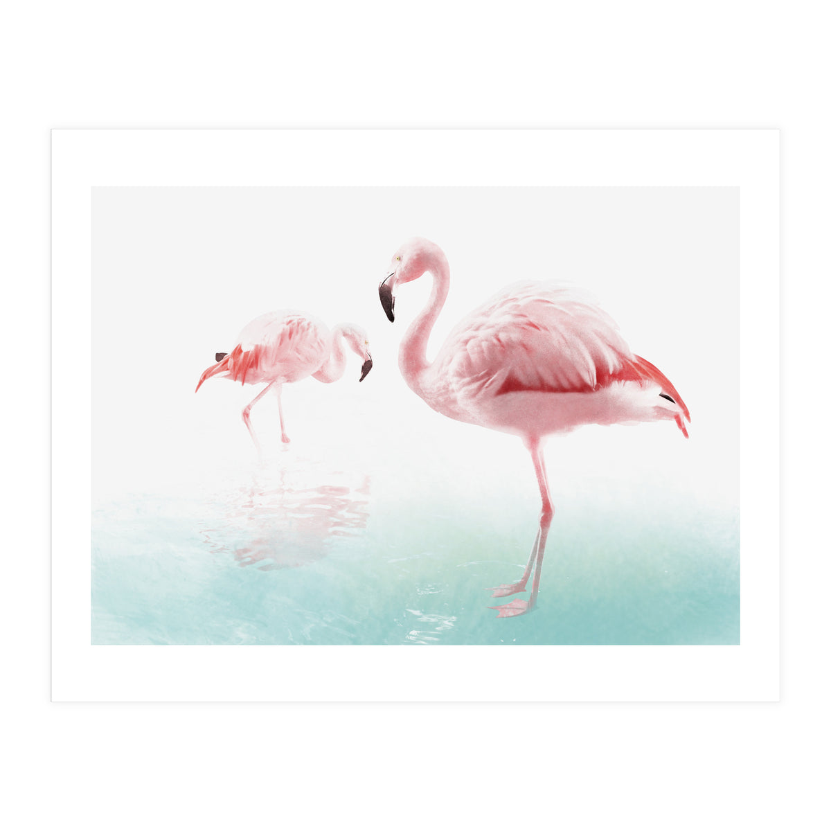 Flamingos (Print Only)