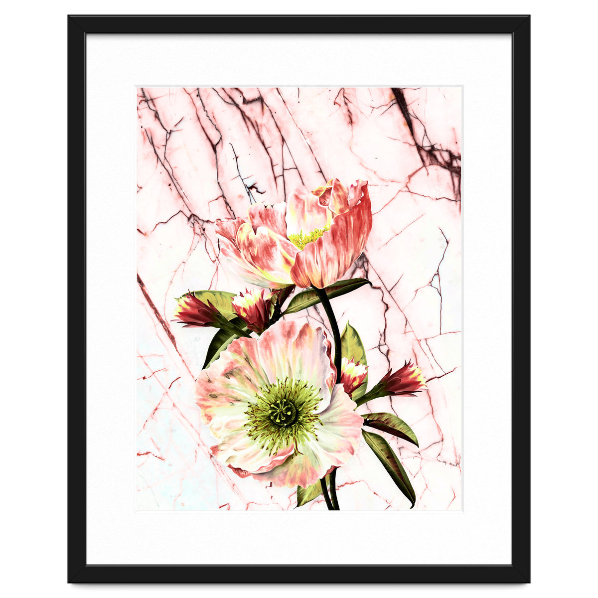 Flowering on pink marble