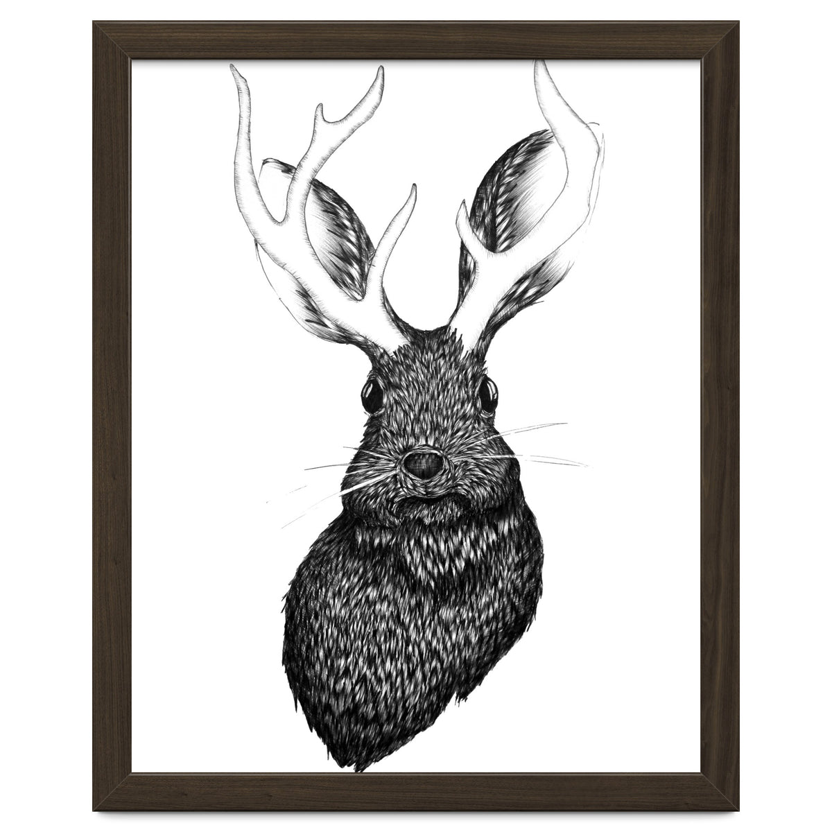 Jackalope