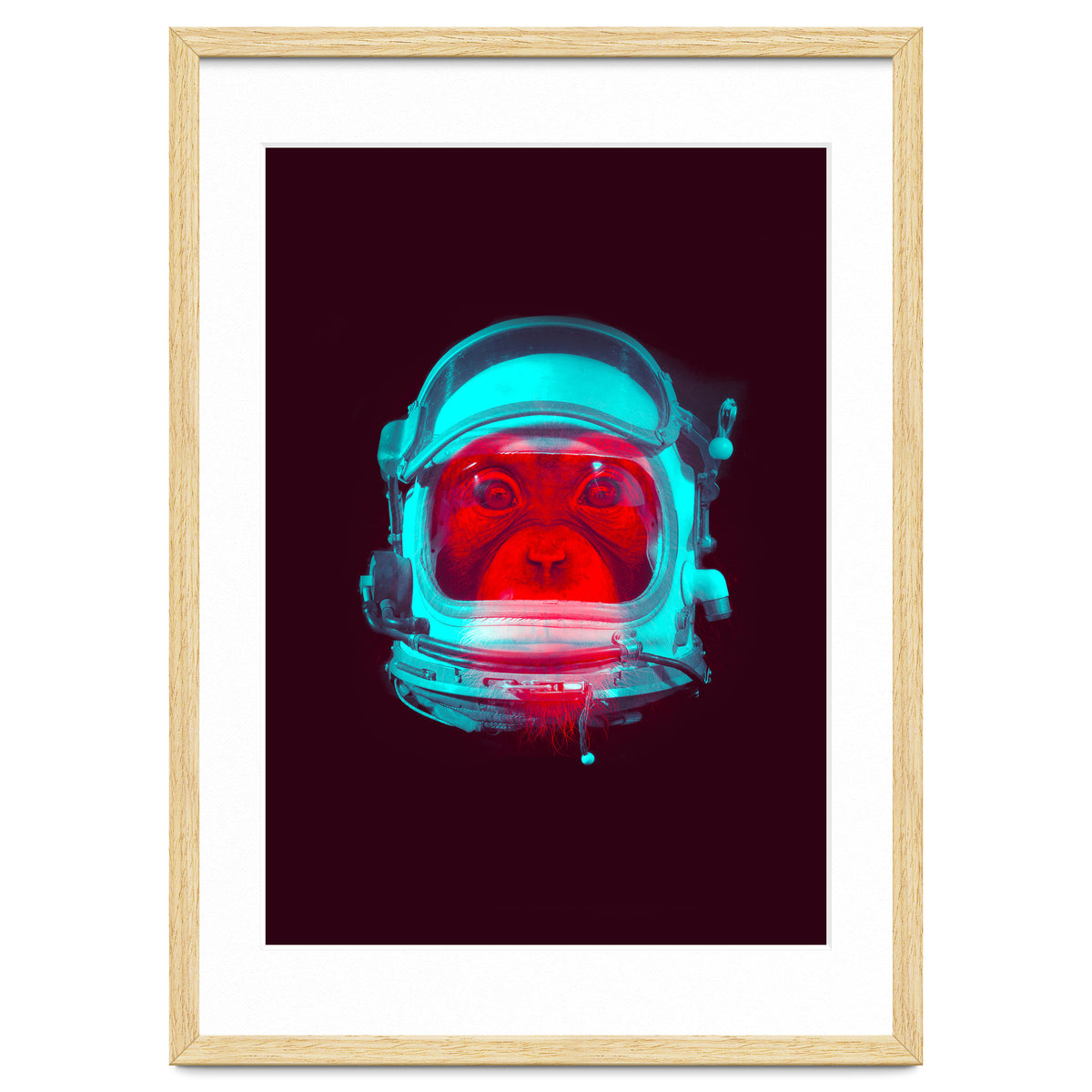 Astronaut