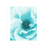 Blue Rose (Print Only) thumbnail