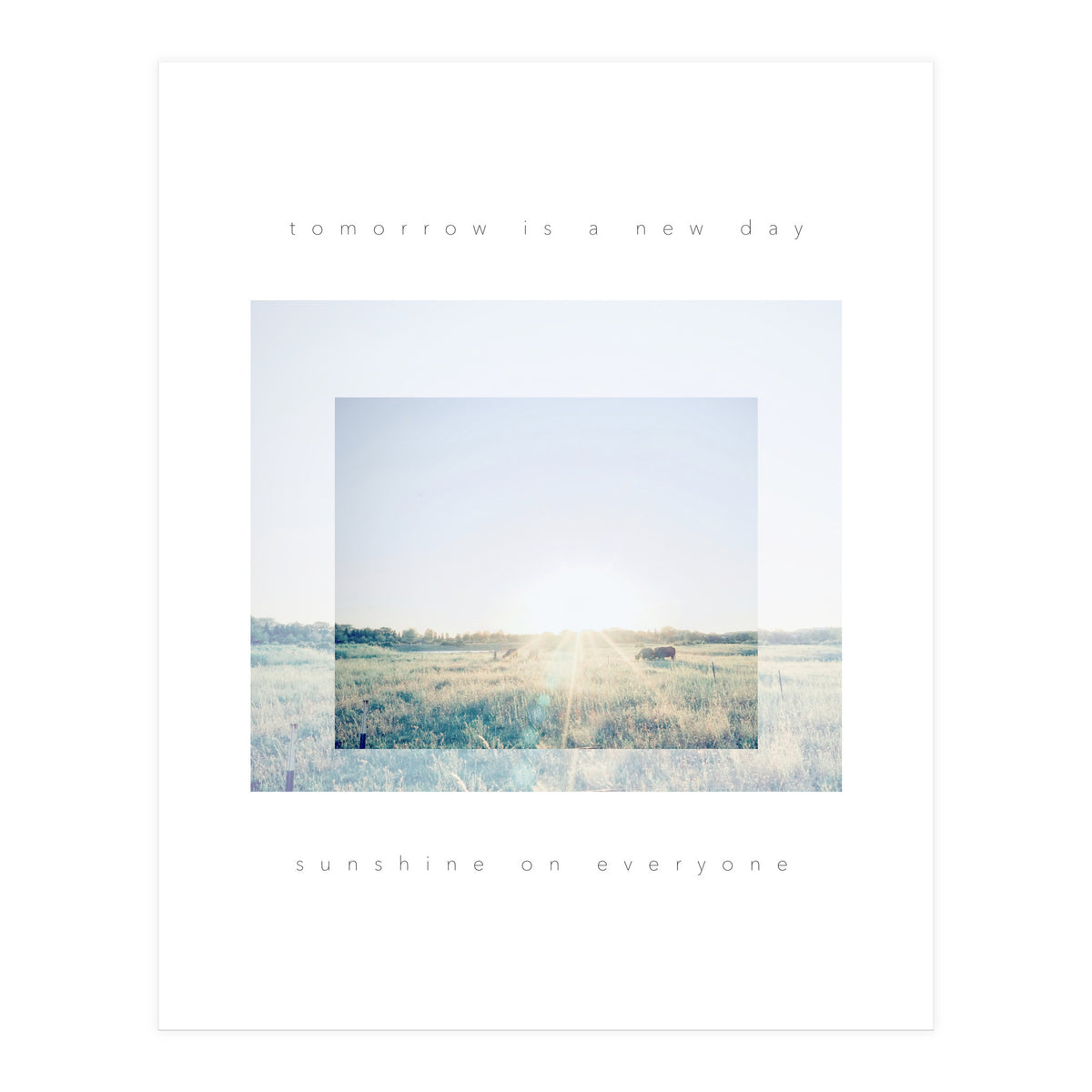 sunshine on everyone (Print Only)