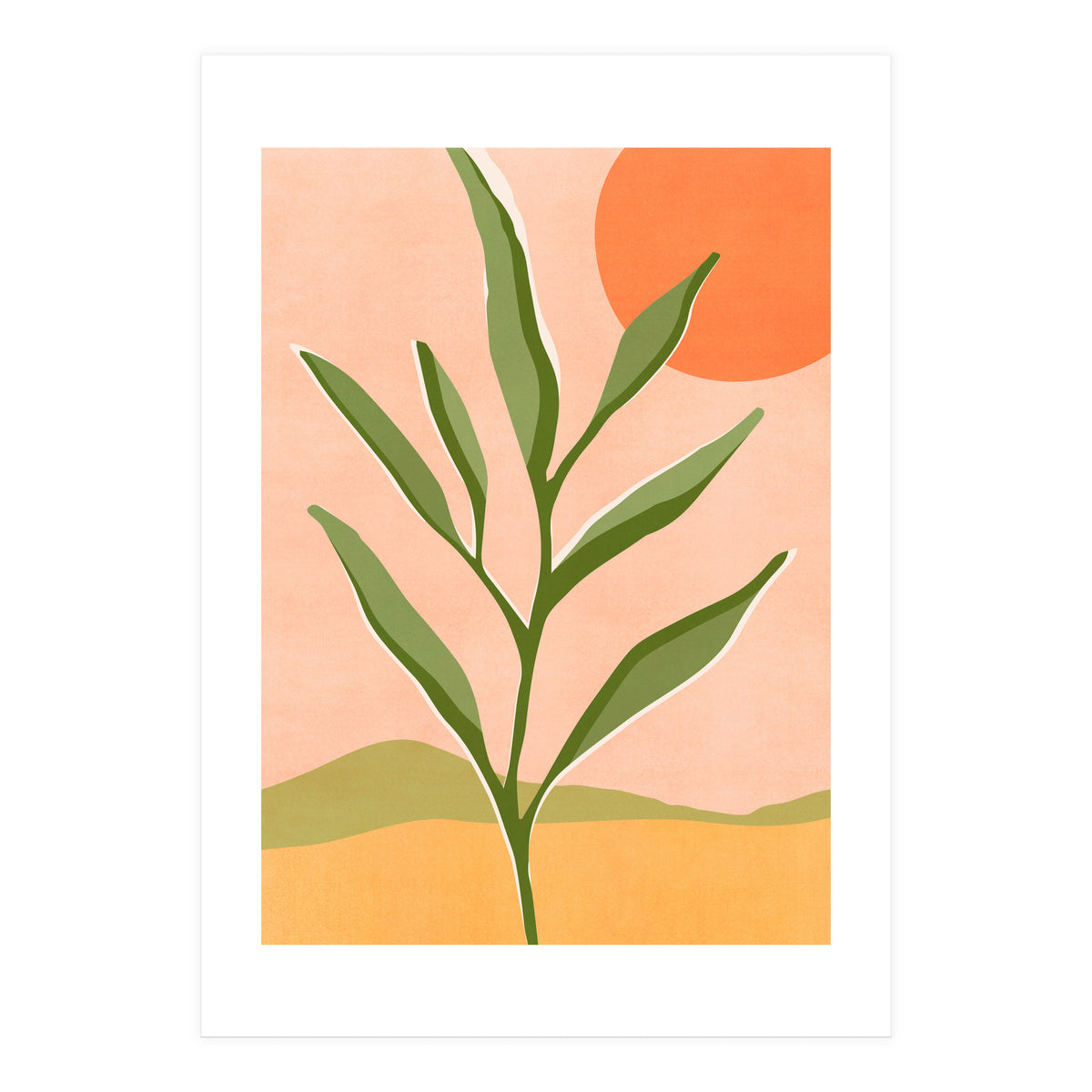 The Sun and The Succulent (Print Only)