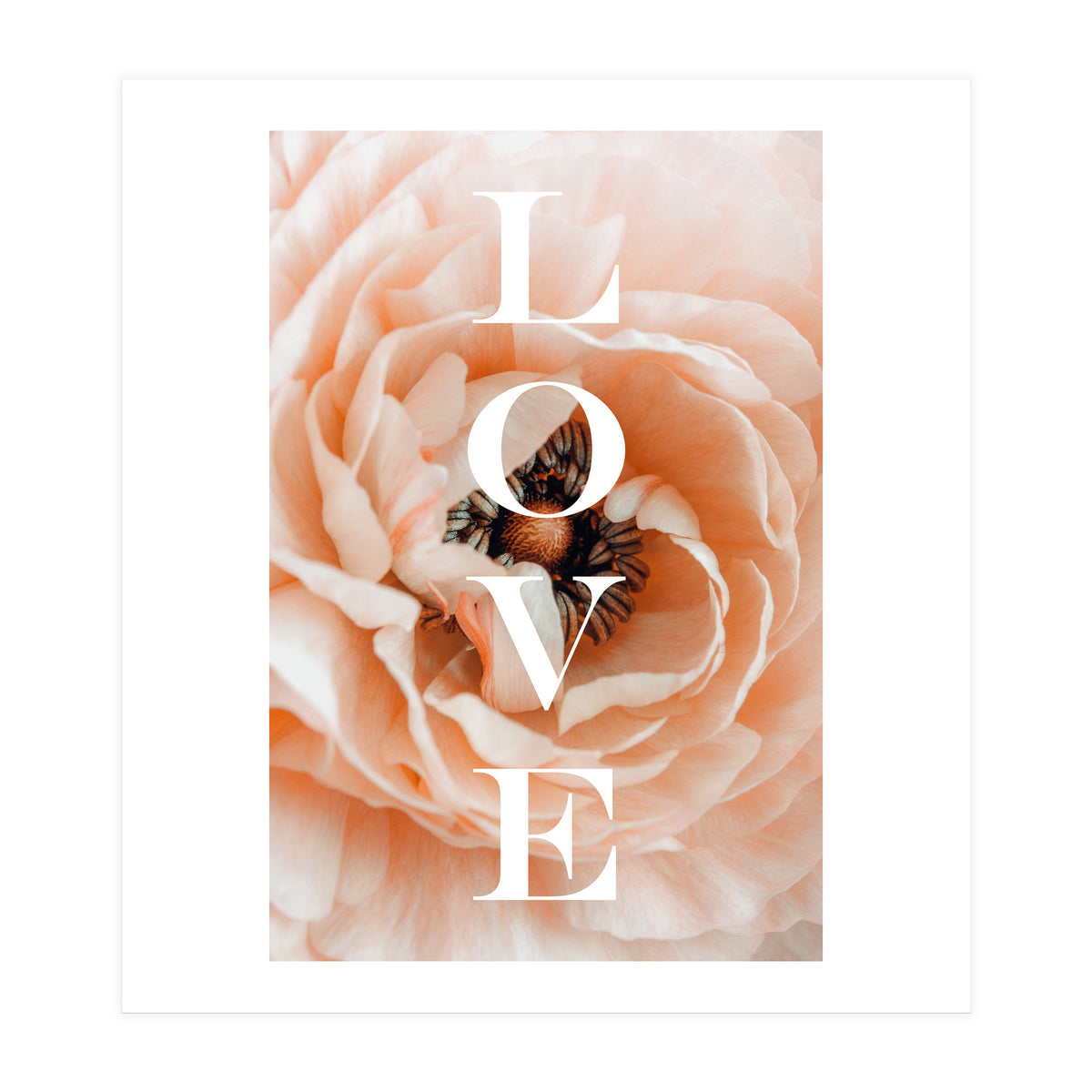 Love (Print Only)
