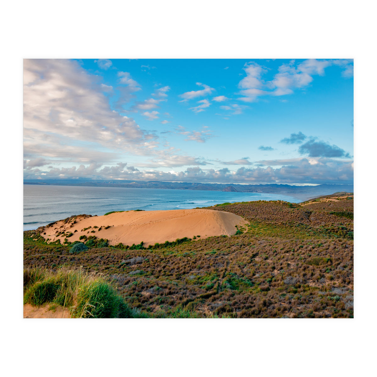 Coastal Sand Dune (Print Only)
