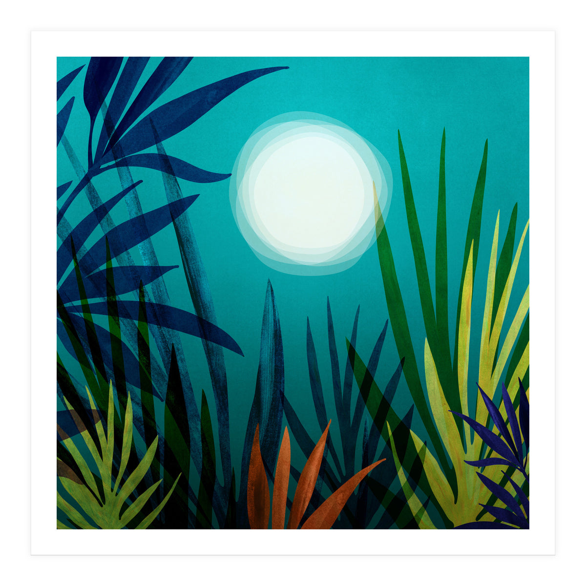Midnight In The Jungle (Print Only)