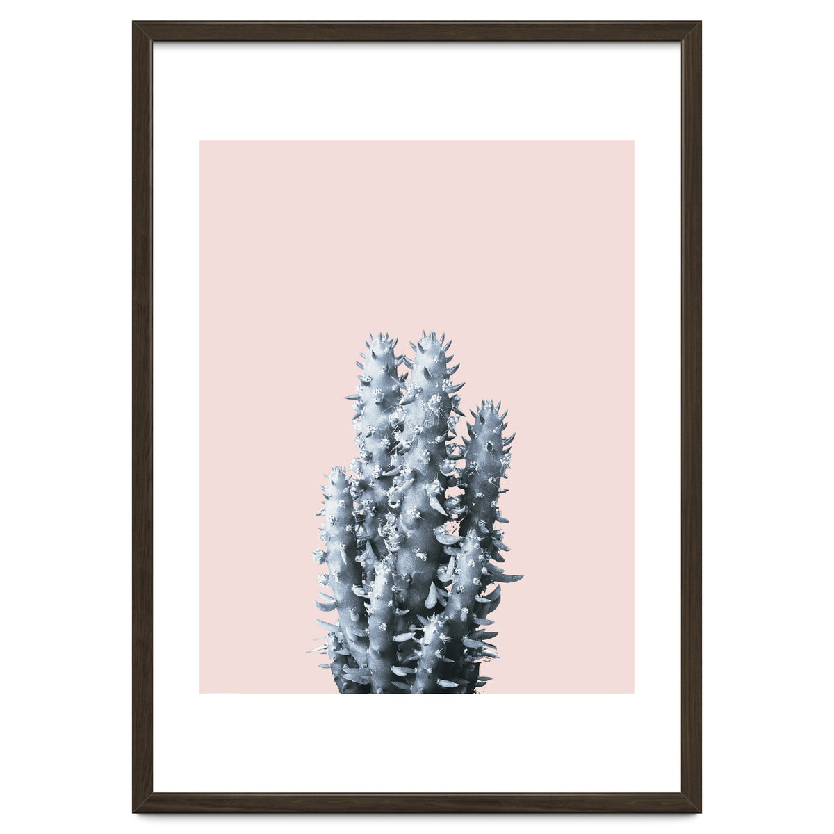 Cactus collection BL-III