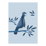 Umbrellabird (Print Only) thumbnail