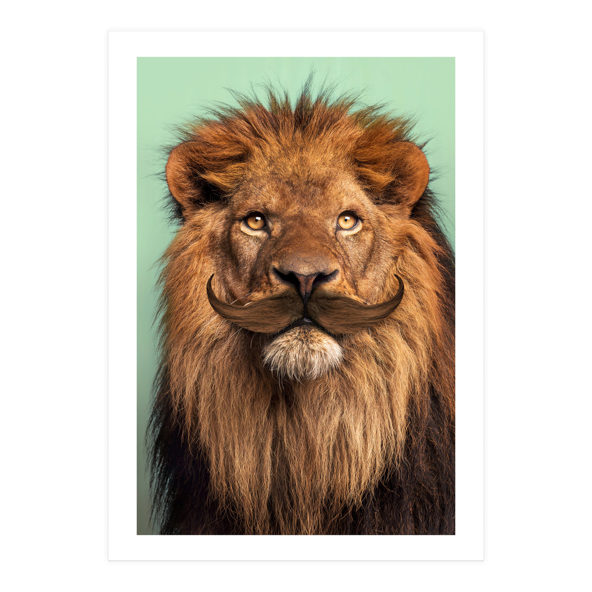 Bearded Lion (Print Only)