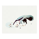 Anteater (Print Only) thumbnail