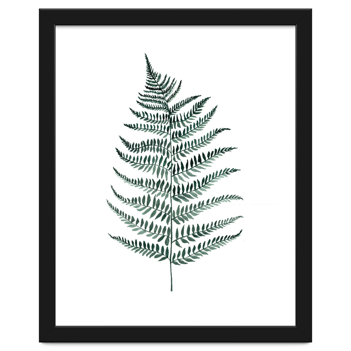 Botanical Illustration Silverfern