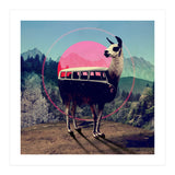 Llama (Print Only) thumbnail