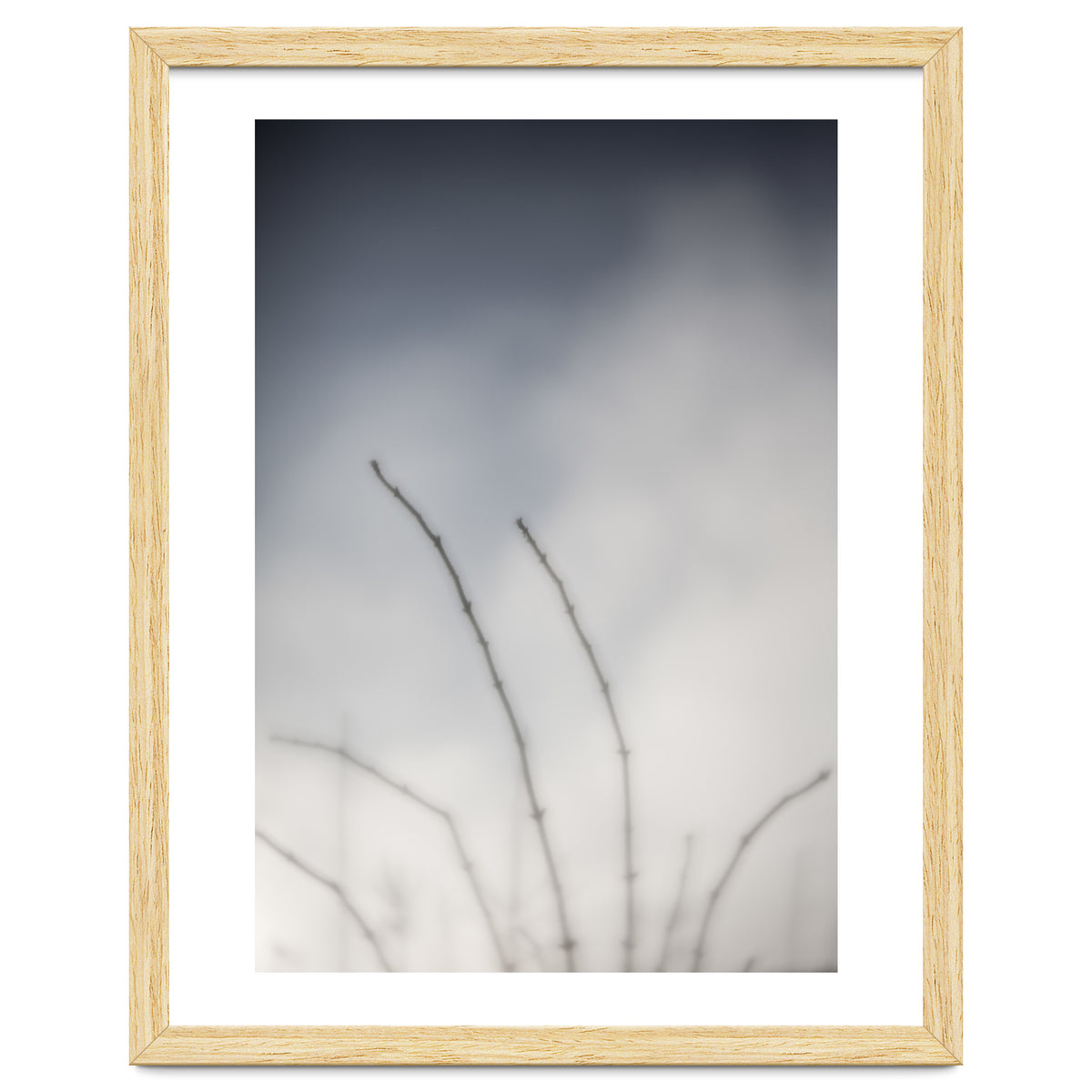 Forgotten Memories of summer #18