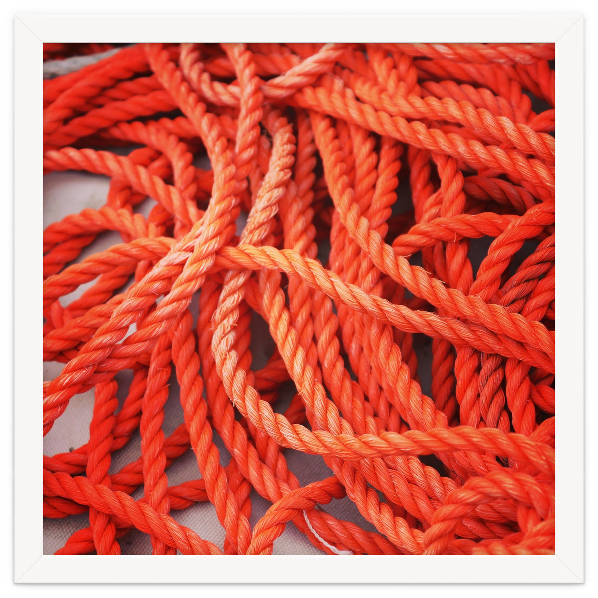 Orange ropes
